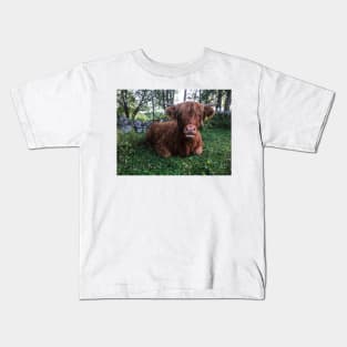 Scottish Highland Cattle Calf 2099 Kids T-Shirt